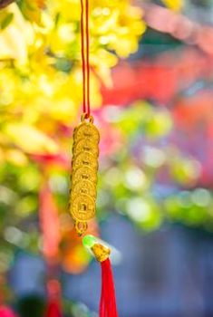 5 câu hỏi về ba viên xúc xắc